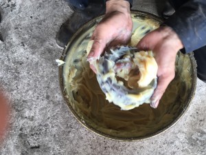 IMG_0613