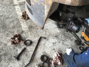 IMG_0625